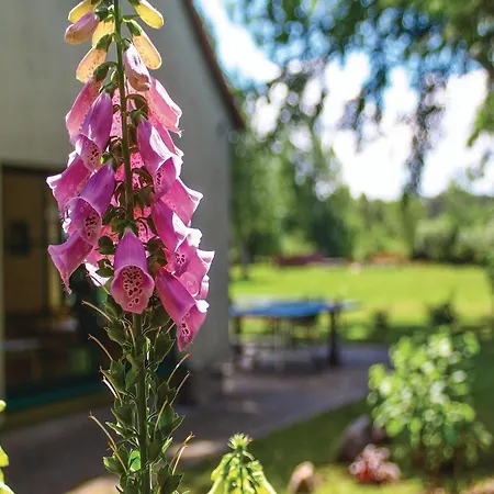 Ten-bedroom Holiday In Ummanz